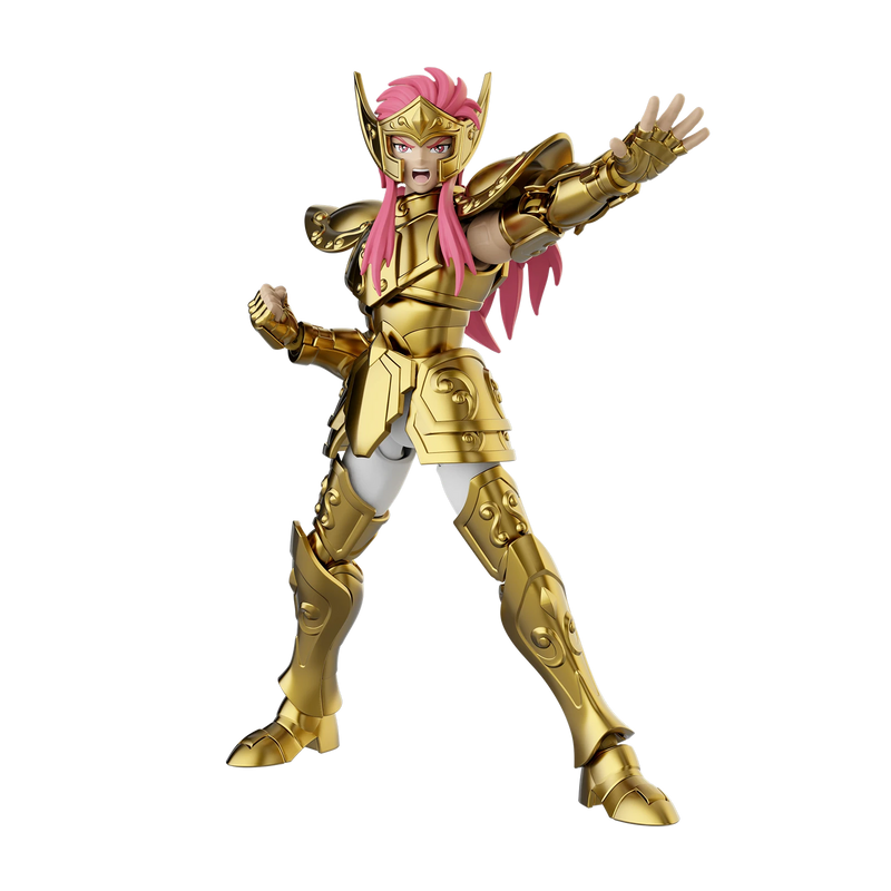 Blokees - Saint Seiya Galaxy Champion Class - Aquarius Camus